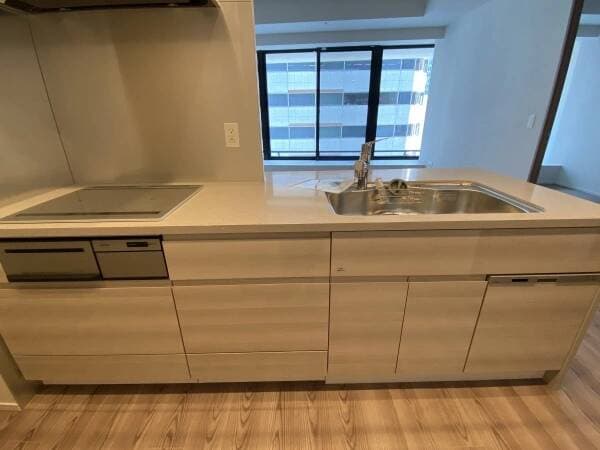 Brillia Tower Dojima – 11th-Floor Residence photo 5