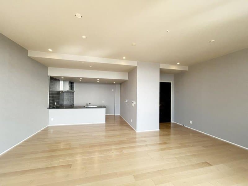 The Kitahama / Luxury Condominium / 2LDK, Osaka