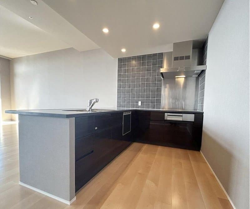The Kitahama / Luxury Condominium / 2LDK, Osaka photo 16