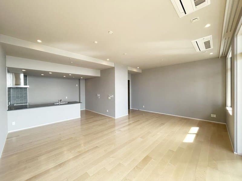 The Kitahama / Luxury Condominium / 2LDK, Osaka photo 3