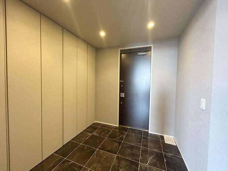 The Kitahama / Luxury Condominium / 2LDK, Osaka photo 15