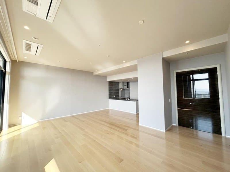 The Kitahama / Luxury Condominium / 2LDK, Osaka photo 4