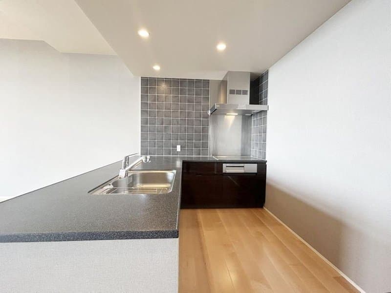 The Kitahama / Luxury Condominium / 2LDK, Osaka photo 6