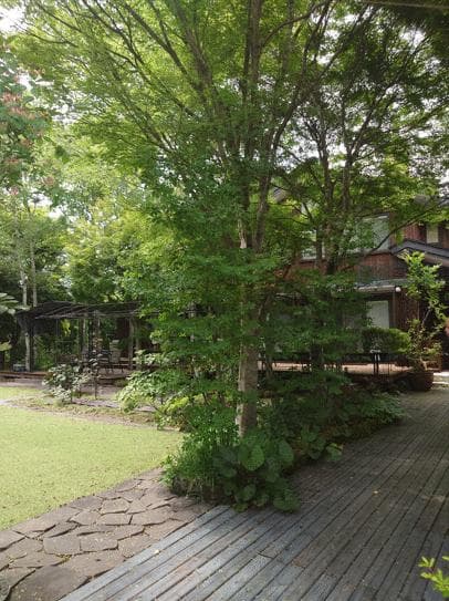 Oaza Karuizawa / Detached House, Karuizawa photo 5