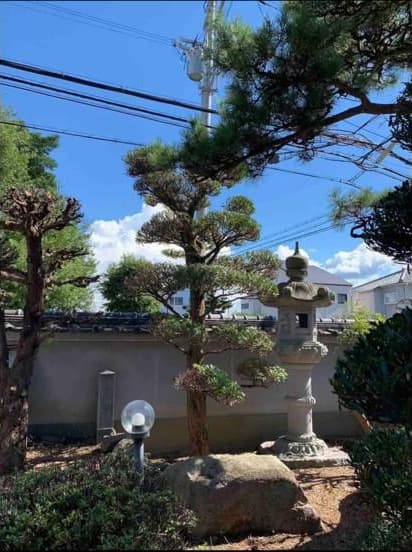 Minami-Nakakashii / 5SLDK Japanese-Style House with Garden (Ryokan License), Izumisano photo