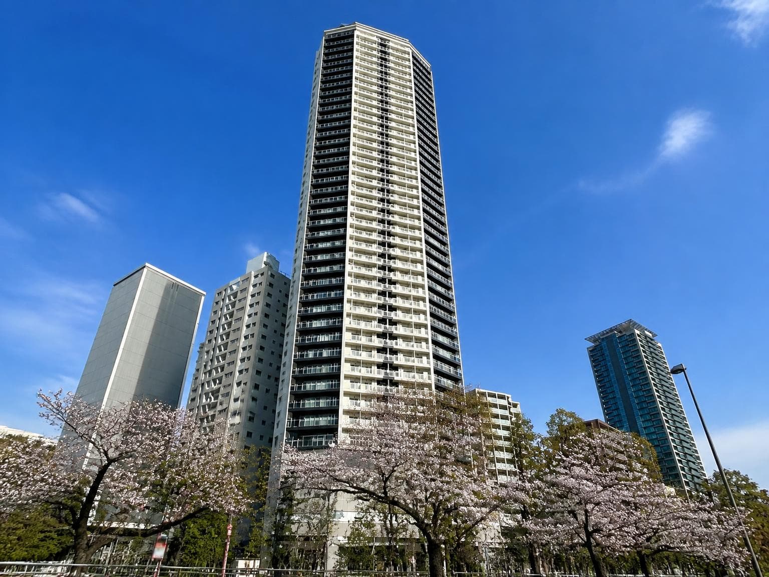 Tower Condominium / 3LDK, Kobe