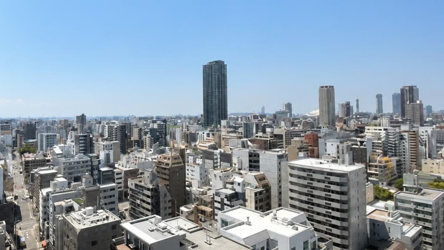 Grand Maison Kita-Horie Residence / 3LDK, Osaka photo 10