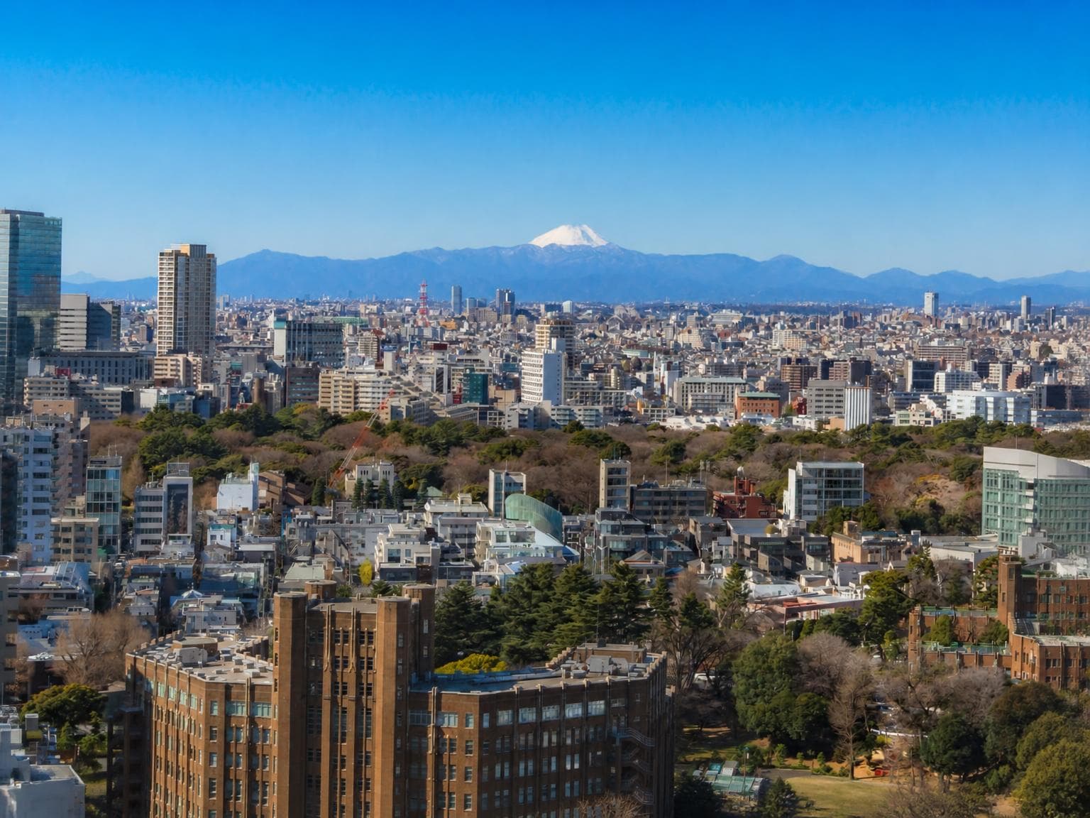 The Parkhouse Shirokane 2-Chome Tower, 26F South-Facing 3LDK photo 5