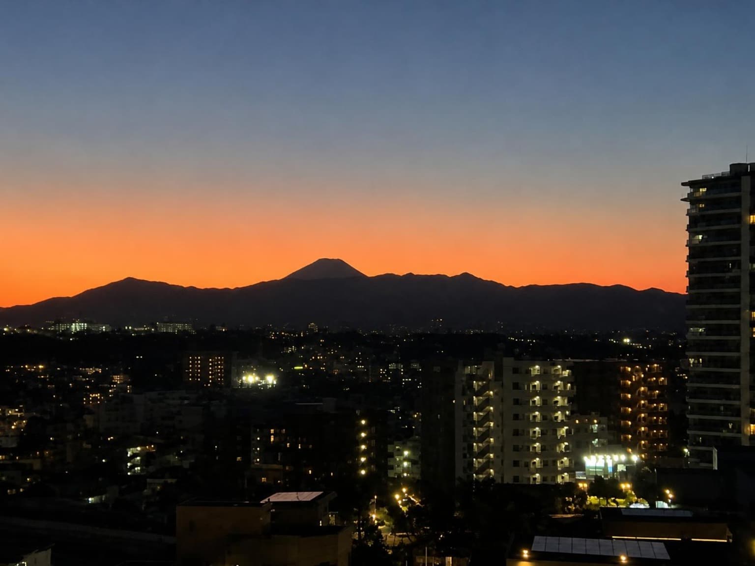 Residence The Musashikosugi / Condominium, Kawasaki photo 14