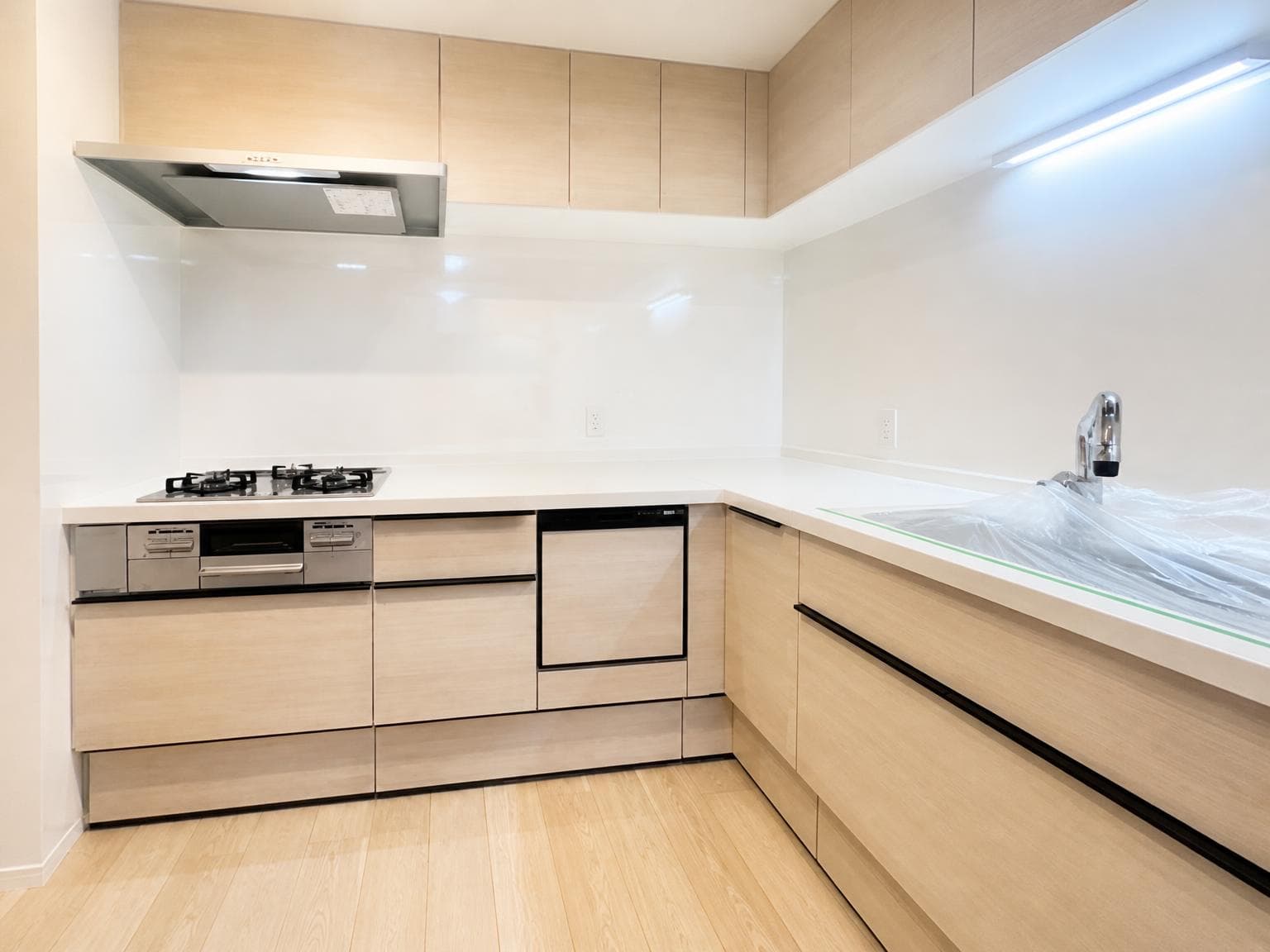 Tower Condo / 2LDK, Shinjuku Ward, Tokyo photo 4
