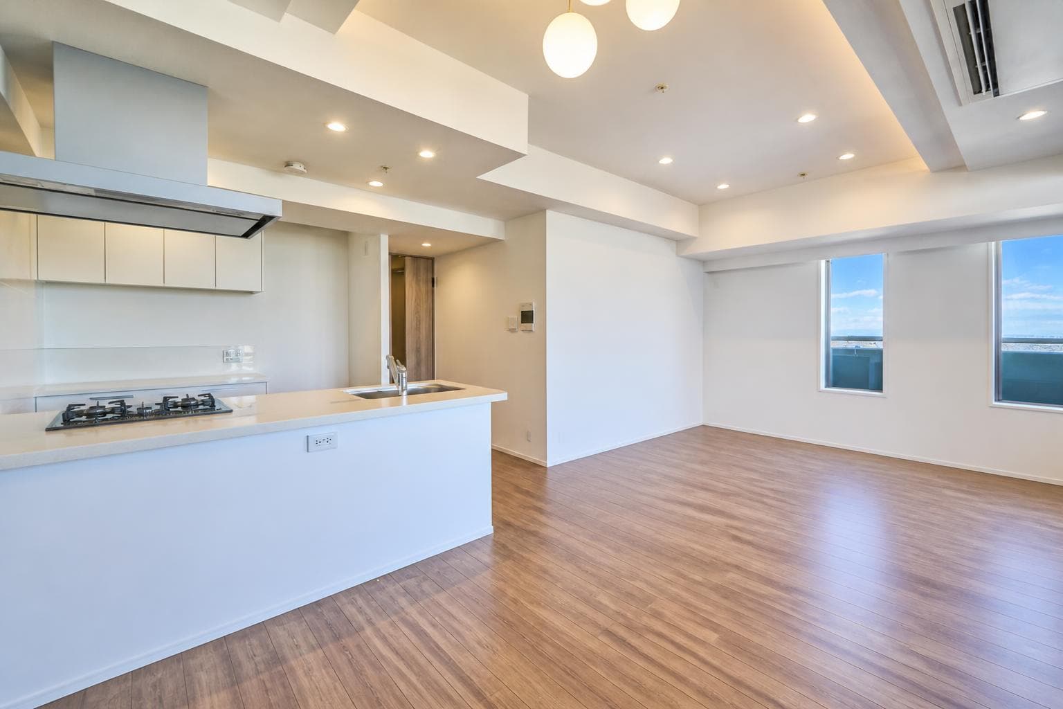 Shakujii-Koen Peerless Building A / Condominium, Tokyo photo 4
