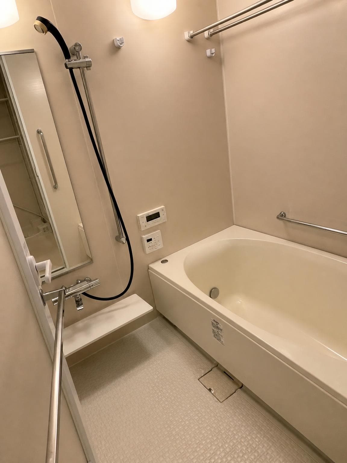 Branz Tower Minami-Horie / Condominium, Osaka photo 3