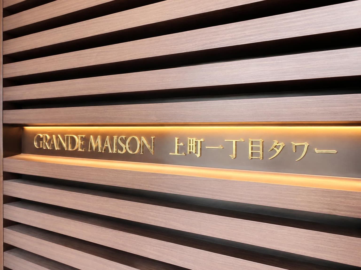 Grand Maison Uemachi 1-chome Tower, Osaka photo