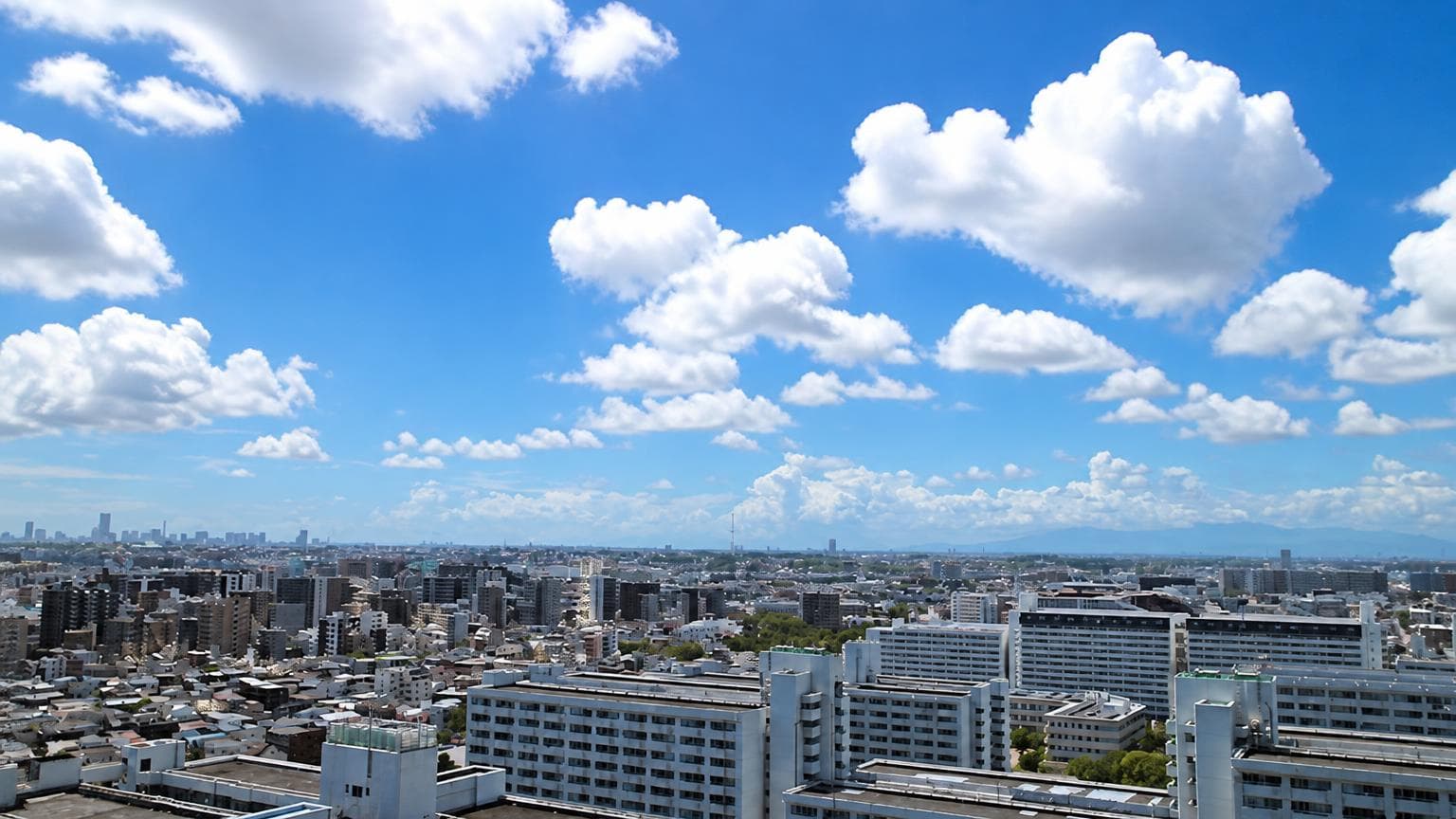 Gran Este Kawasaki Twin Tower II / Condominium, Kawasaki