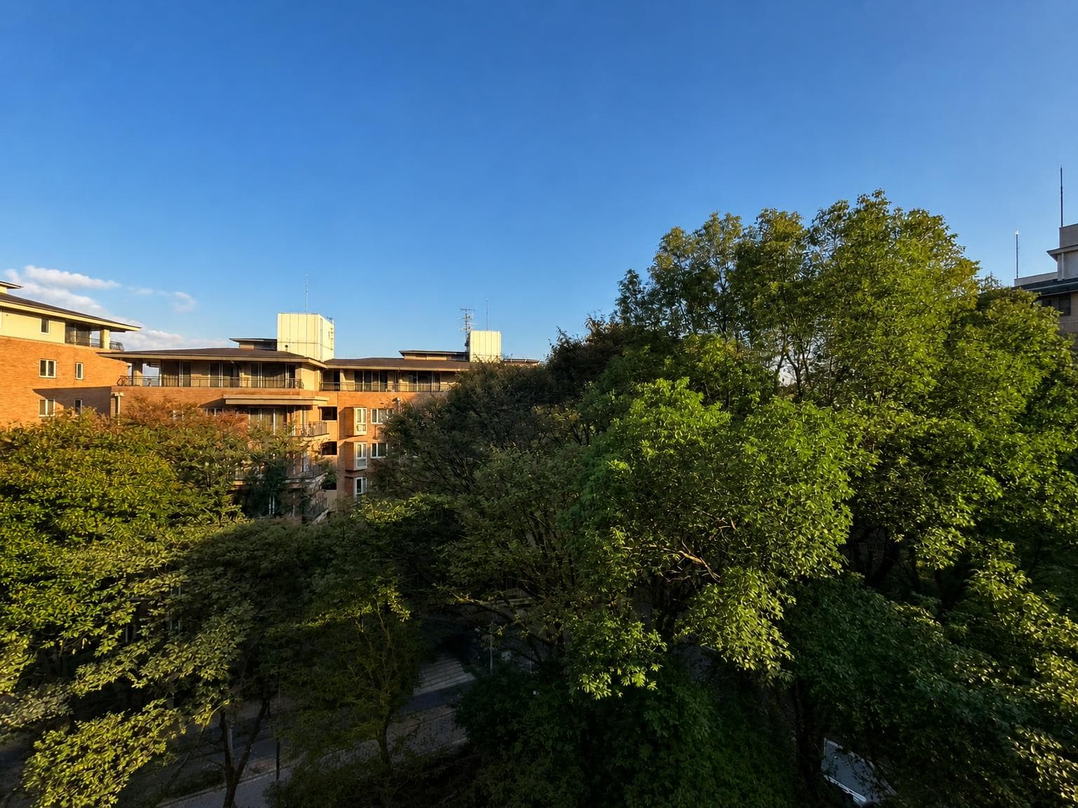 Hiroo Garden Hills – Renovated 2LDK Luxury Residence photo