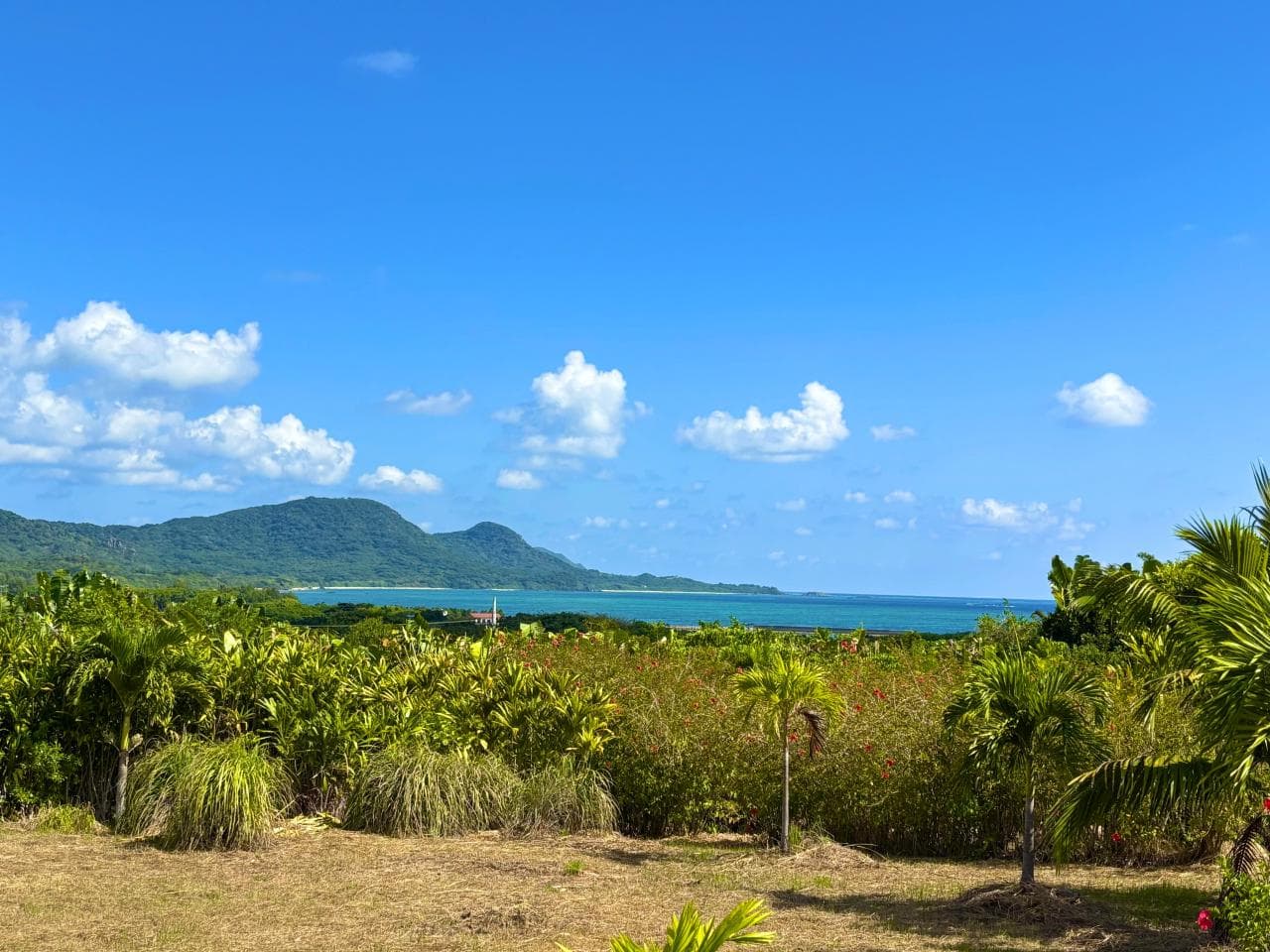 Tozato / One-room House with 7,887㎡ Land incl. Farmland, Ishigaki photo 3