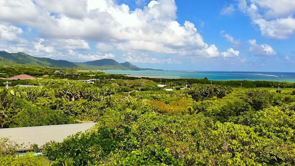 Tozato / One-room House with 7,887㎡ Land incl. Farmland, Ishigaki photo 4