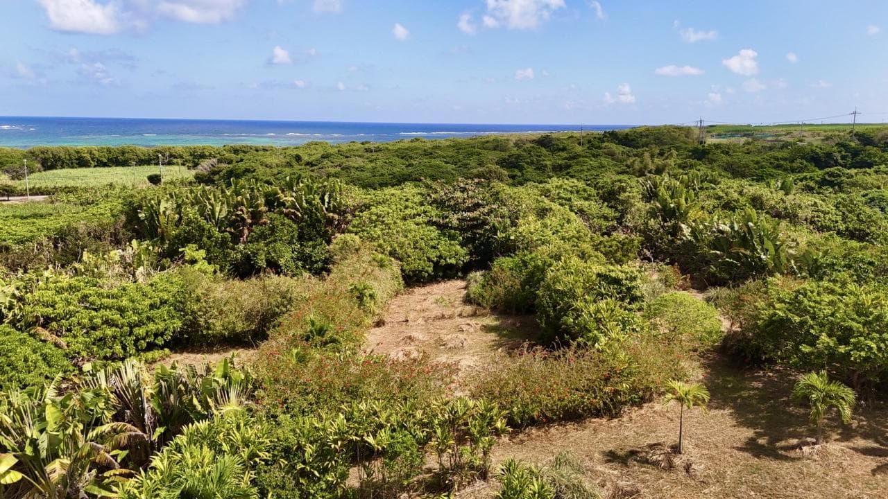 Tozato / One-room House with 7,887㎡ Land incl. Farmland, Ishigaki photo 5