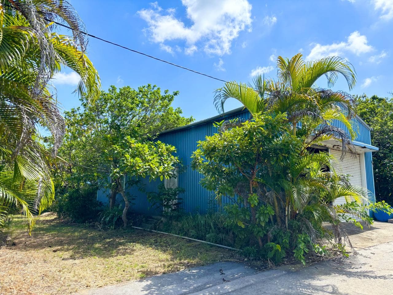 Tozato / One-room House with 7,887㎡ Land incl. Farmland, Ishigaki photo 6
