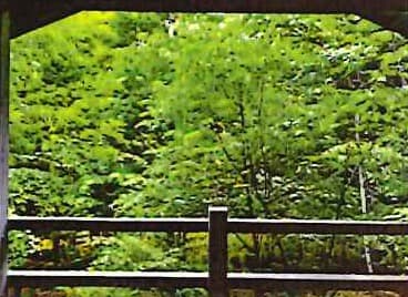 Sengataki Nishi-ku / 3LDK House, Karuizawa photo 8