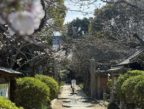 Komachi 3-chome / 4LDK House on Leasehold Land, Kamakura photo 4
