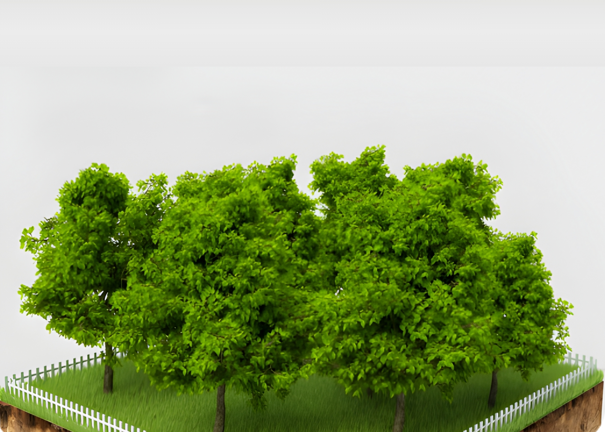Land